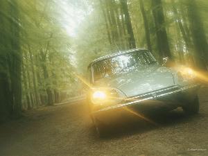 Citroen ds