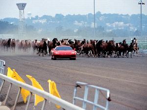 FERRARI